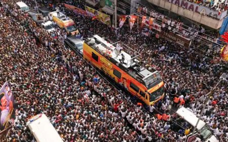 Karur Temple Stampede: Tragedy Strikes During Festival as Crowds Surge Forward
